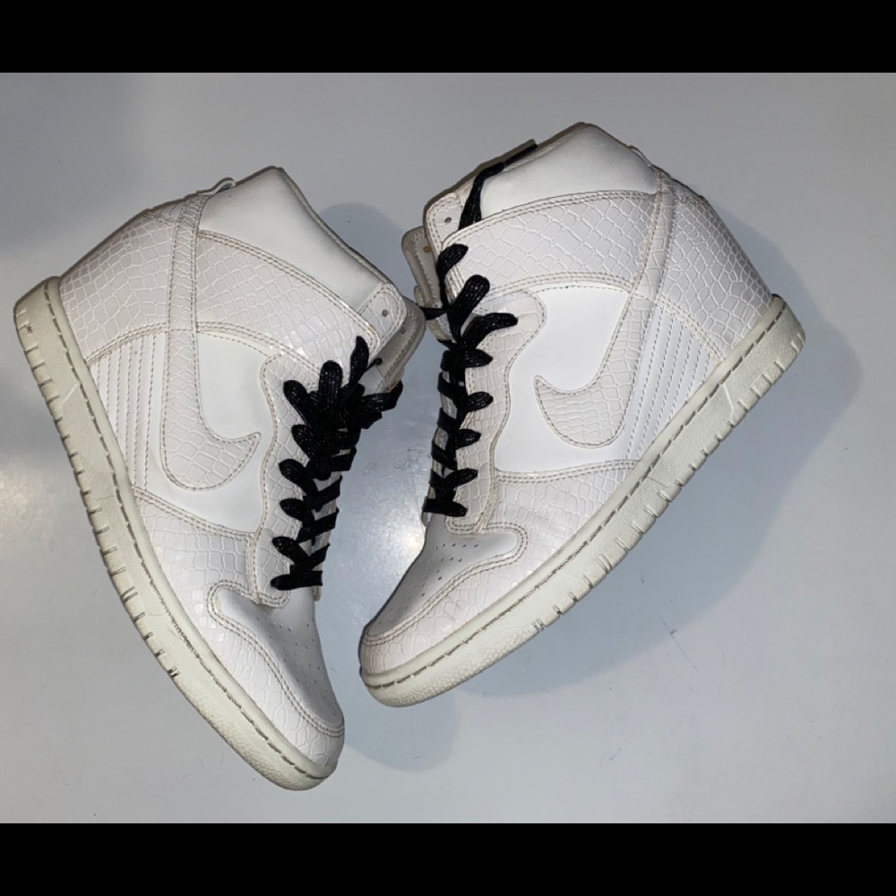 Nike Dunk ski hi shoes